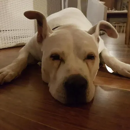 Bed & Breakfast Bellagio ベッド・アンド・ブレックファスト ベッラージョ