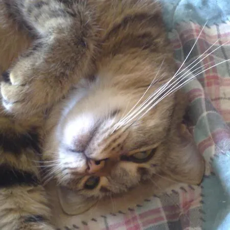 ベッド・アンド・ブレックファスト Bed & Breakfast Bellagio