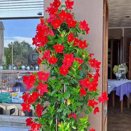 Couette-café Bed & Breakfast Bellagio Bellagio