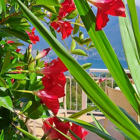 Couette-café Bed & Breakfast Bellagio Bellagio