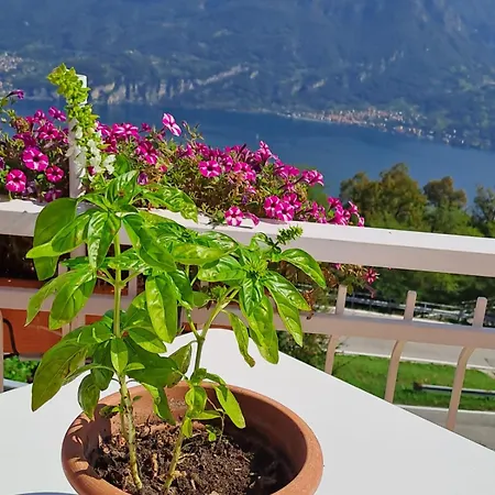 Bed & Breakfast Bellagio Couette-café Bellagio