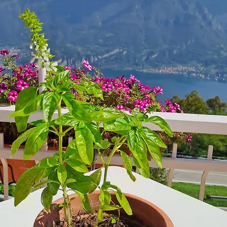 Bed & Breakfast Bellagio Couette-café Bellagio
