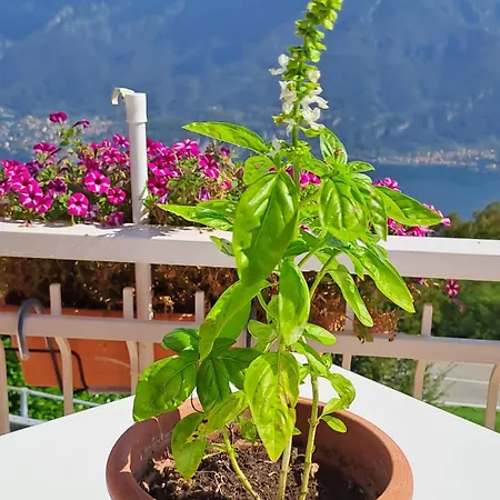 Bed & Breakfast Bellagio 3* Bellagio