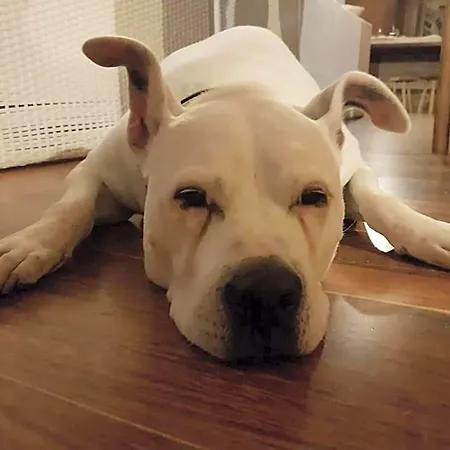 Bed & Breakfast Bed & Breakfast Bellagio Bellagio