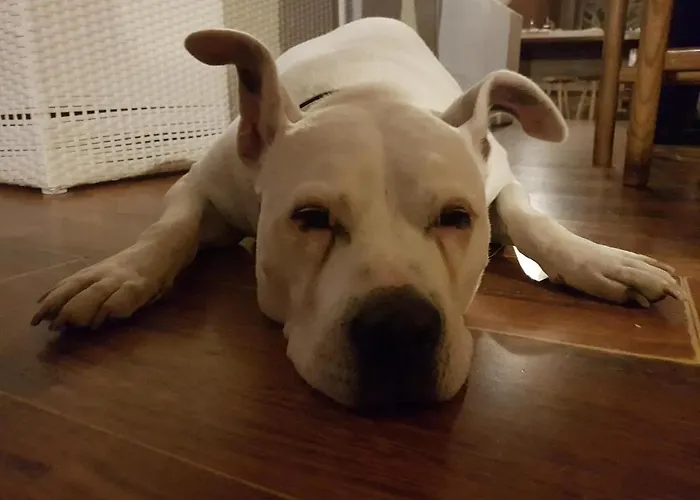 Bed & Breakfast Bellagio Nocleg ze śniadaniem Bellagio